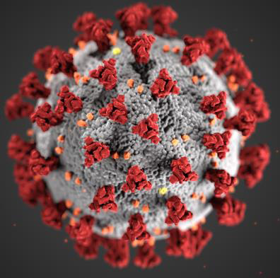 Coronavirus (Foto: Wikipedia, Lores, 23311, Ausschnitt)
